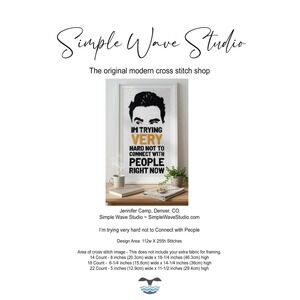 Schitt's Creek David Quote - Counted Cross Stitch Pattern
